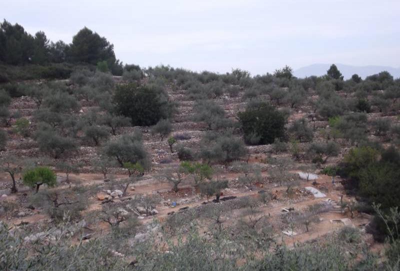 Foto 1 de Terreno en venta en Vilafamés, Castellón