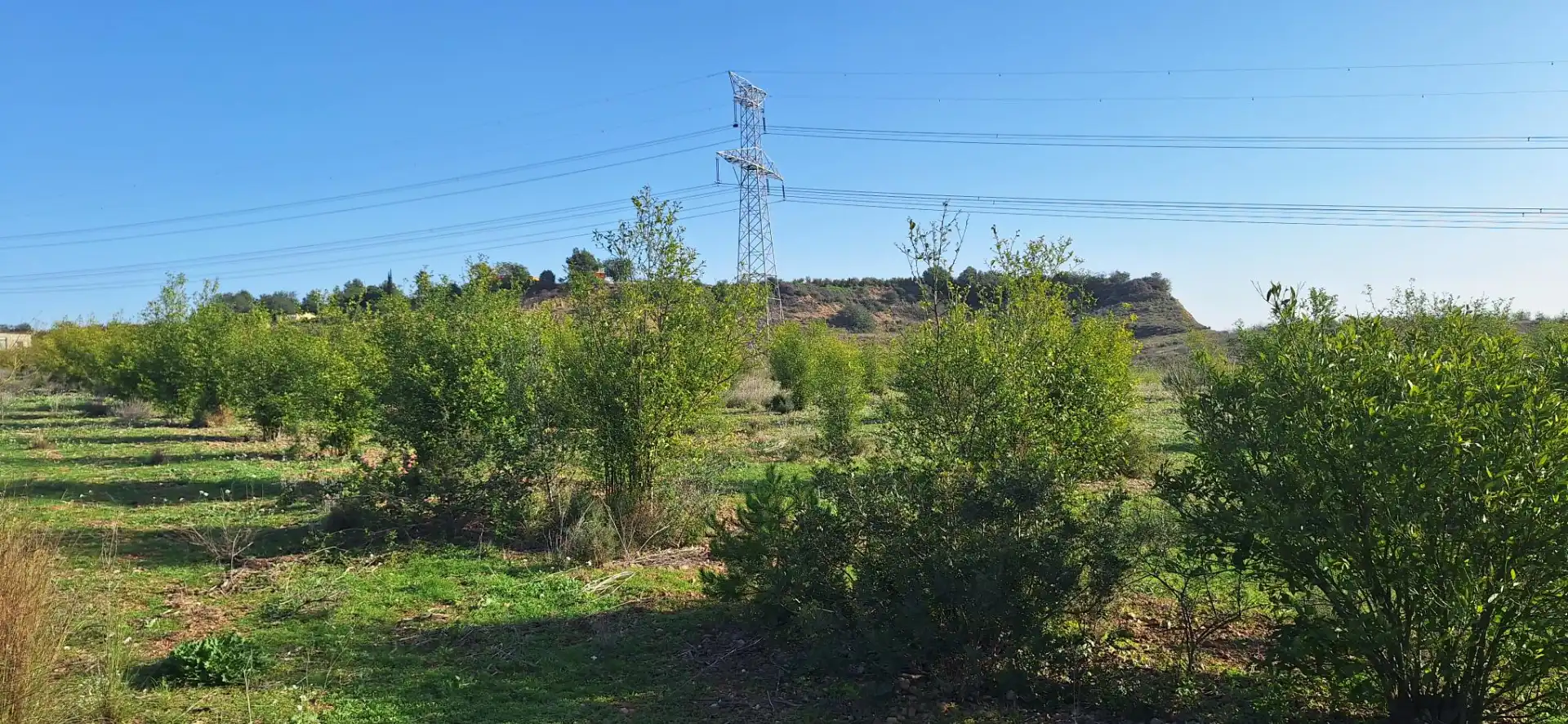 Detached house with garden for sale in Montroi / Montroy, imagen 3