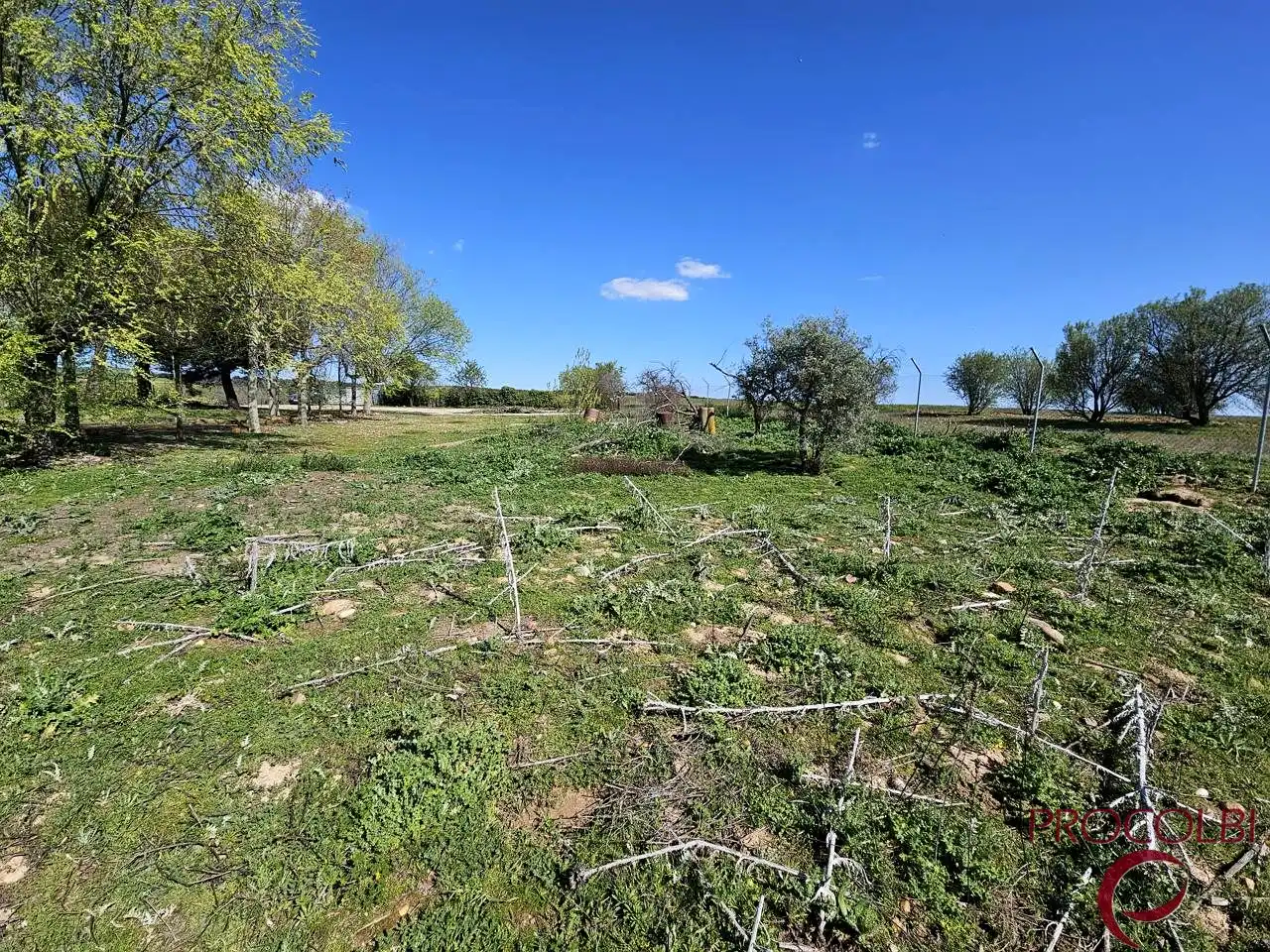 Terreno en venta en Valdeolmos-Alalpardo