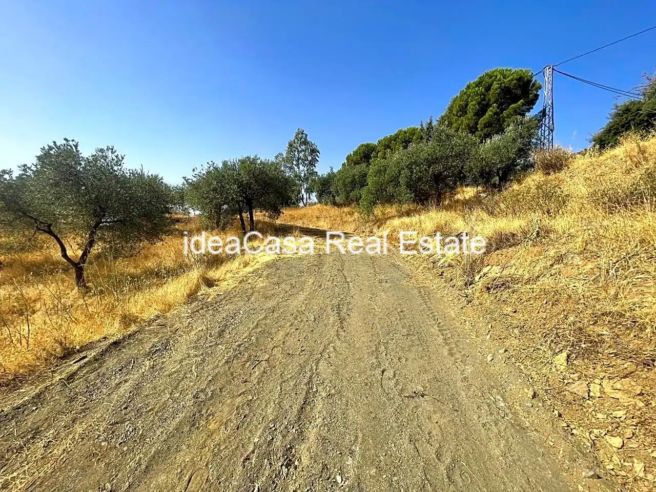 Land for sale in Casarabonela