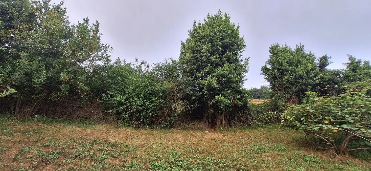 Residencial en venta en Gijón 