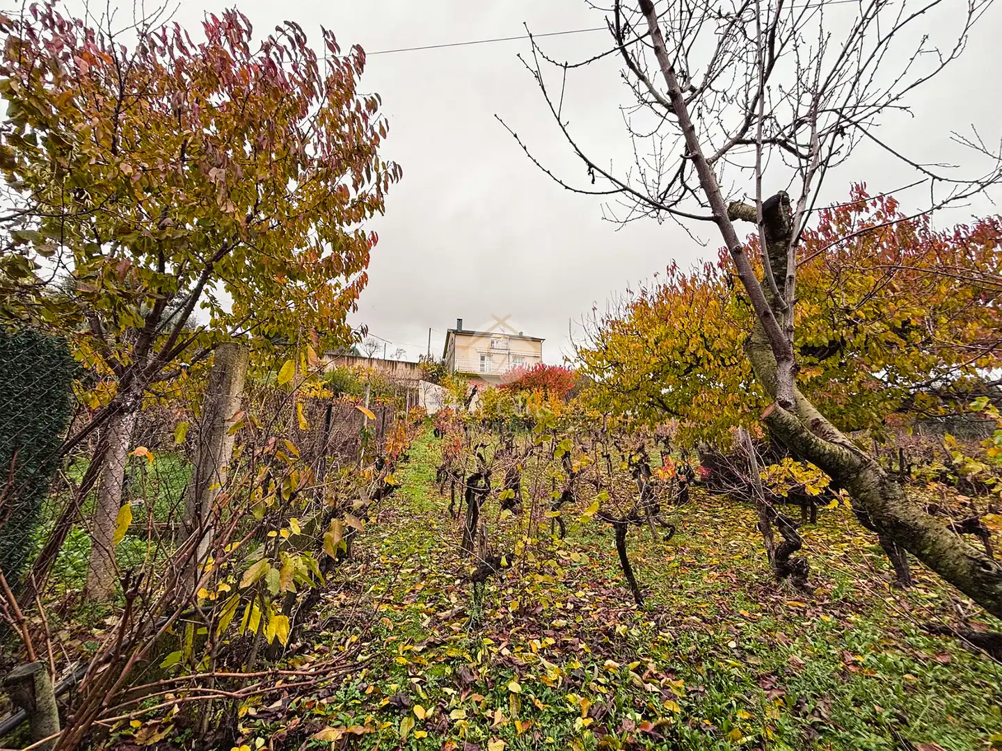 Xalet amb terrassa en venda a Lugar Proba a, imagen 20
