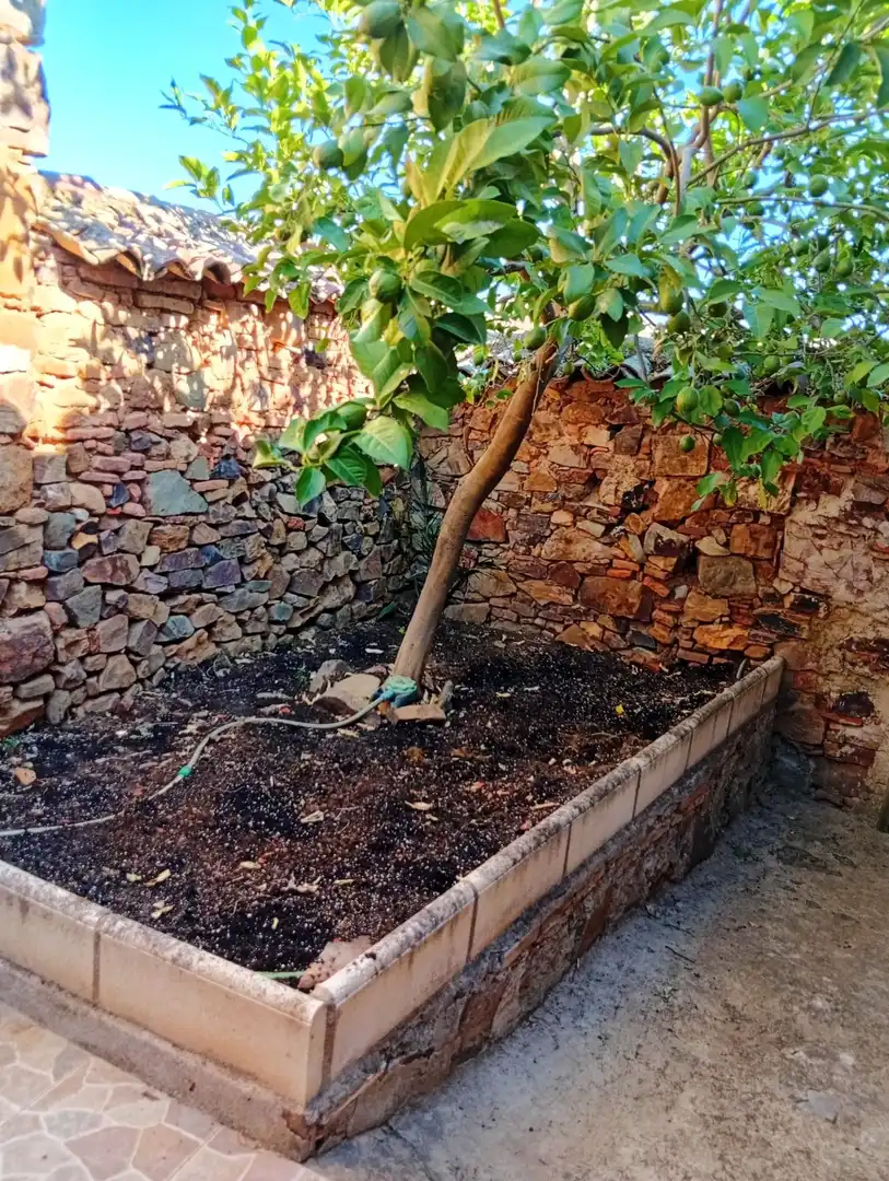 Casa en venda a Almadén, imagen 2