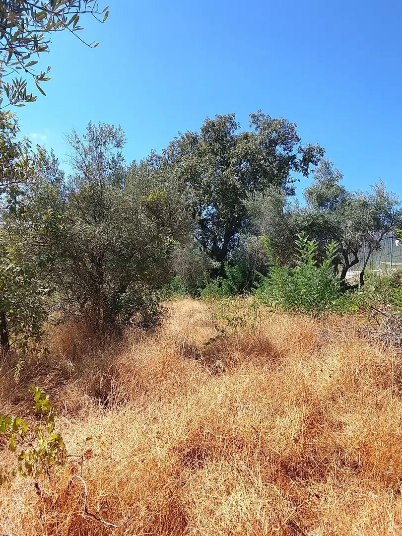 Terreni e lotti in vendita a Talaveruela de la Vera, imagen 17