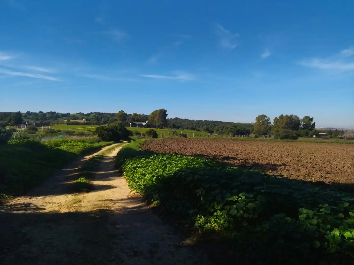 Country house for sale in Vejer, imagen 13