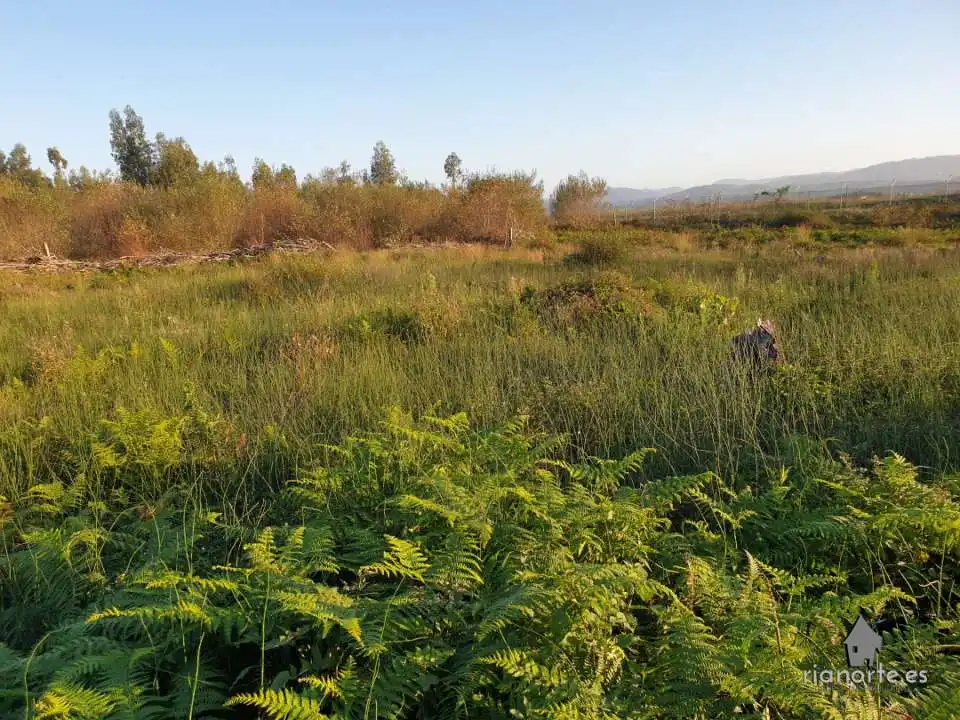 Land for sale in Castrillón