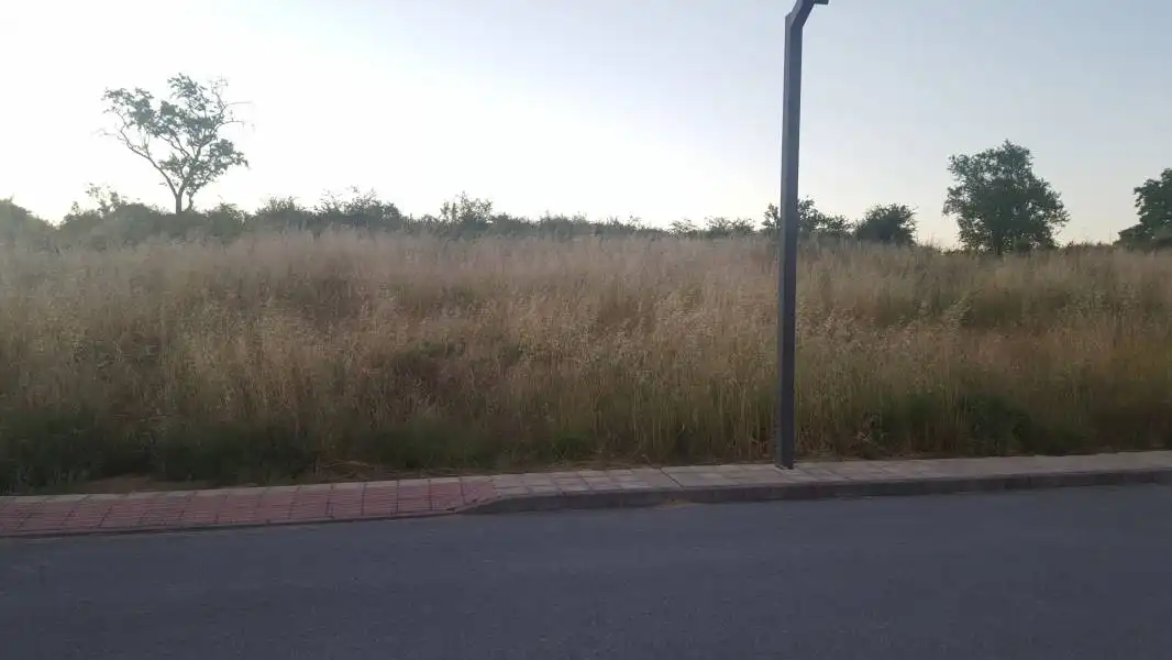 Terreni e lotti in vendita a Camponaraya, imagen 7