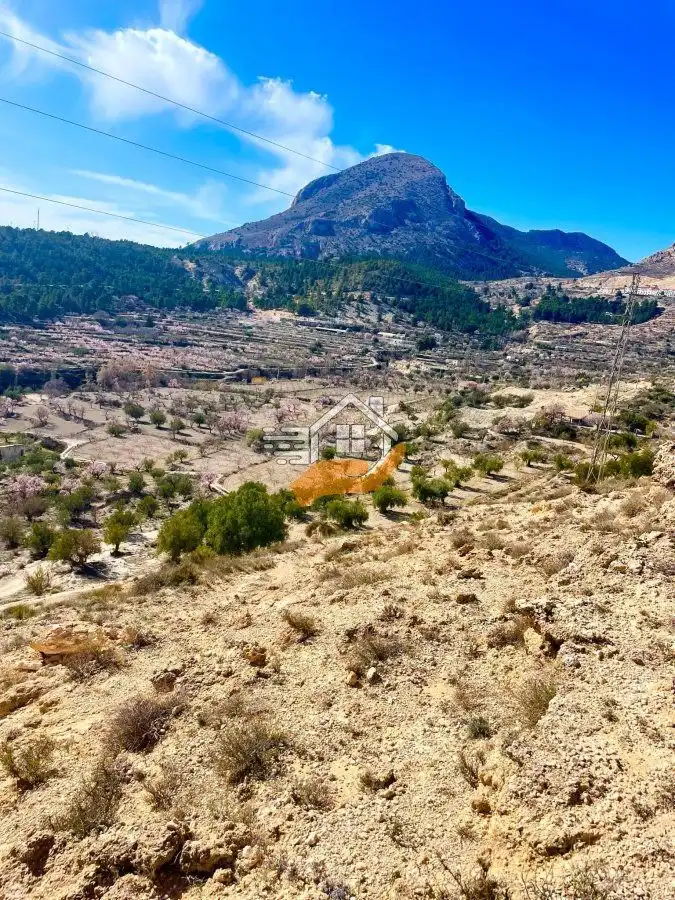 Terrenos y solares en venta en Vélez-Blanco, imagen 14