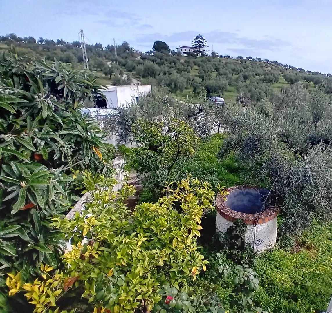 Casa rústica con piscina en venta en Alozaina, imagen 25