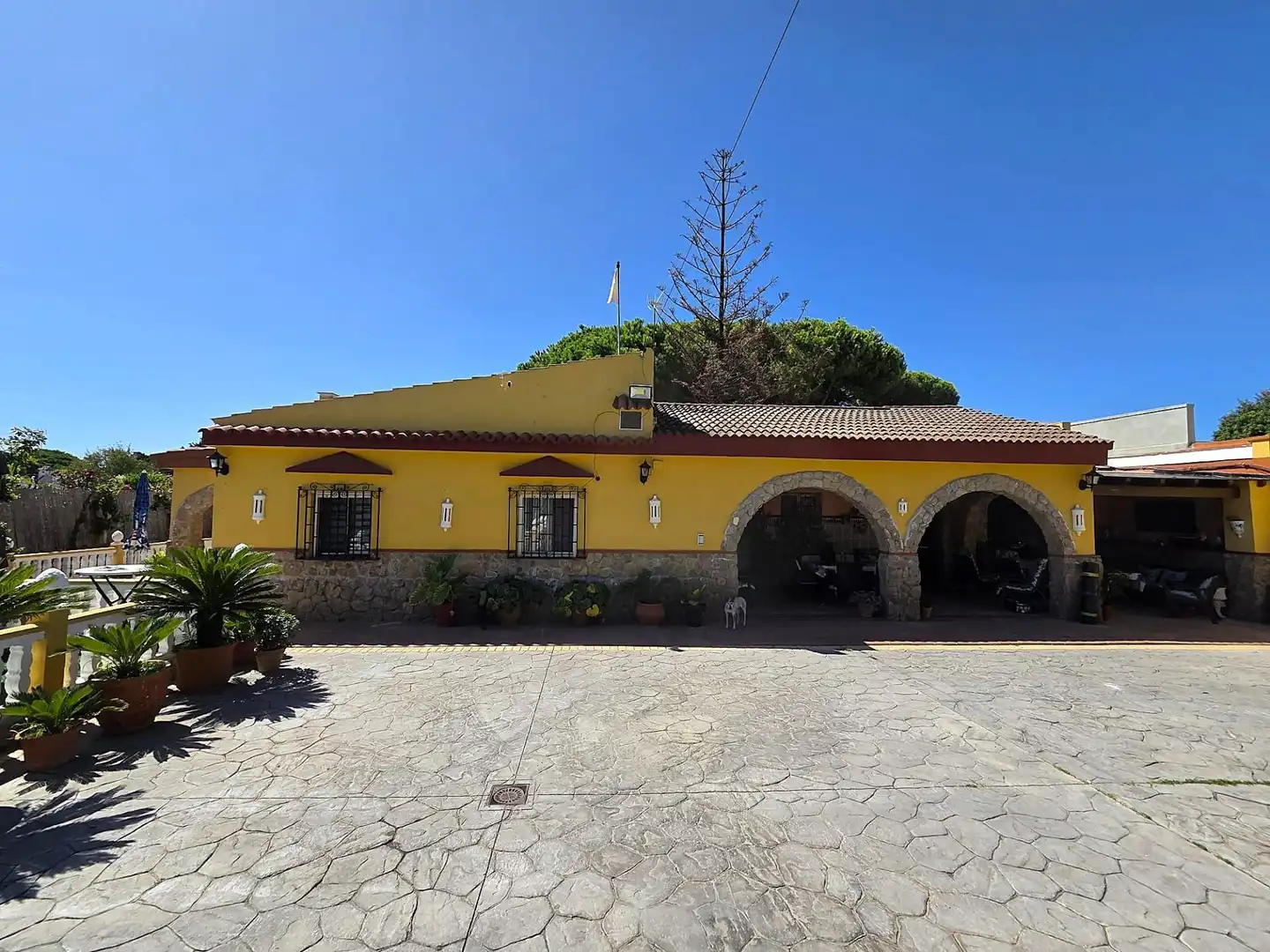 Außenansicht von Haus oder Chalet zum Verkauf in Chiclana de la Frontera mit Privatgarten, Abstellraum und Schwimmbad
