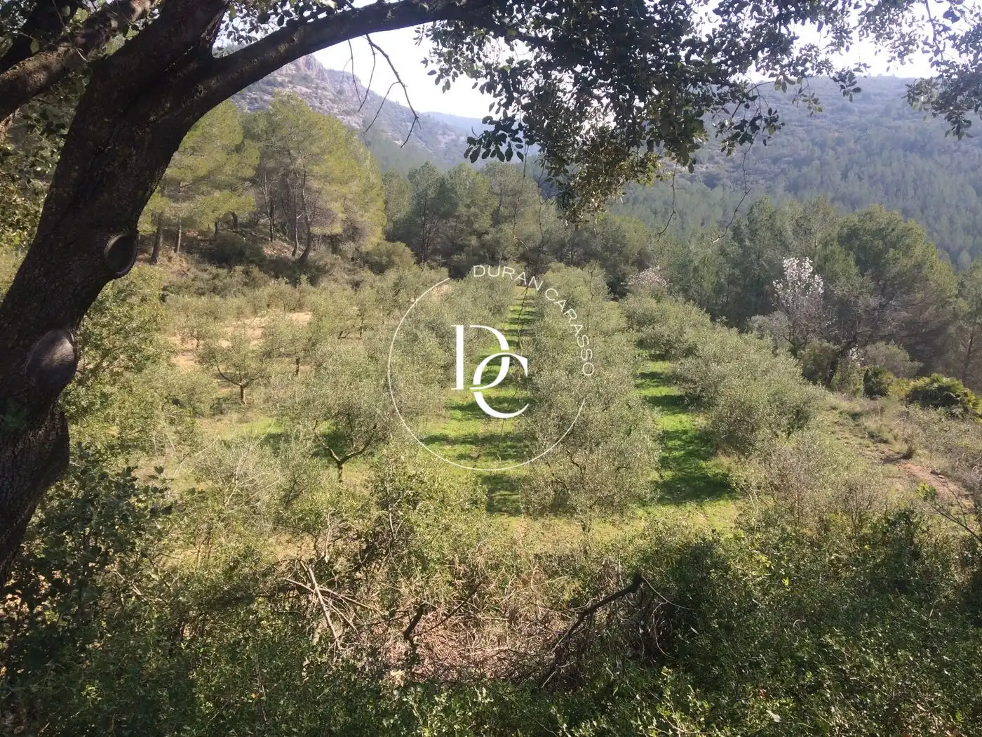 Casa rustica in vendita a Castellet i la Gornal, imagen 17