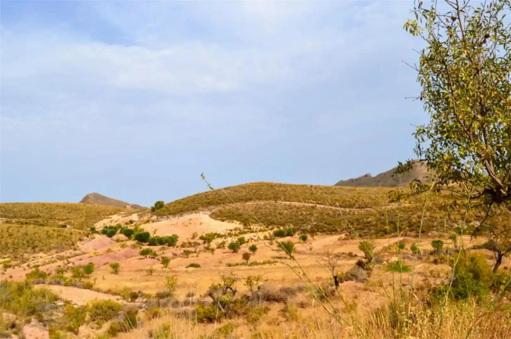Land for sale in Lorca