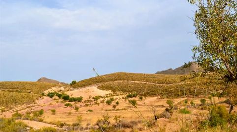 Foto 4 de Terreno en venta en Carrasquilla, Lorca