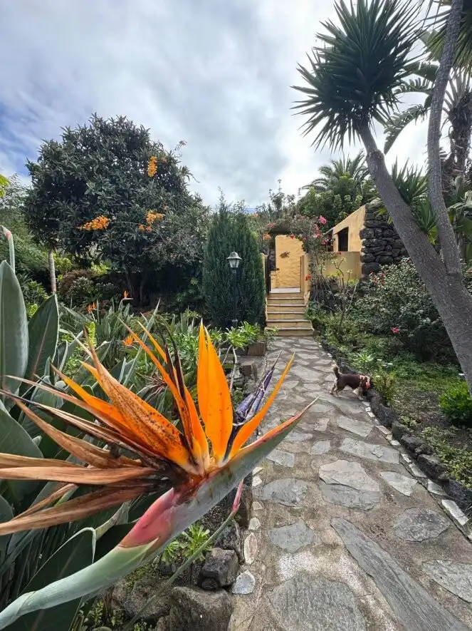 Jardí de Finca rústica en venda en Icod de los Vinos amb Terrassa