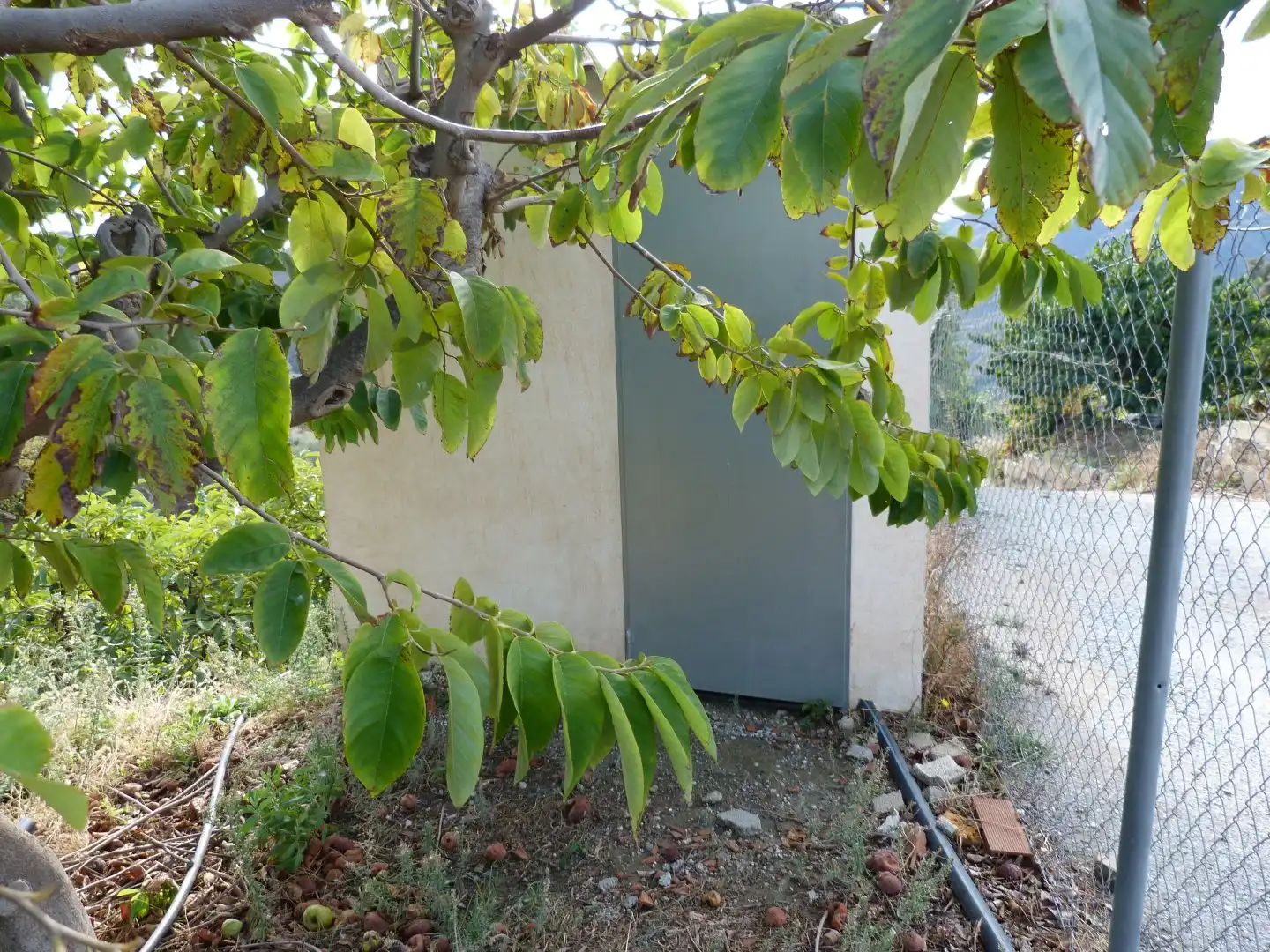Casa rústica en venta en Los Guájares, imagen 11