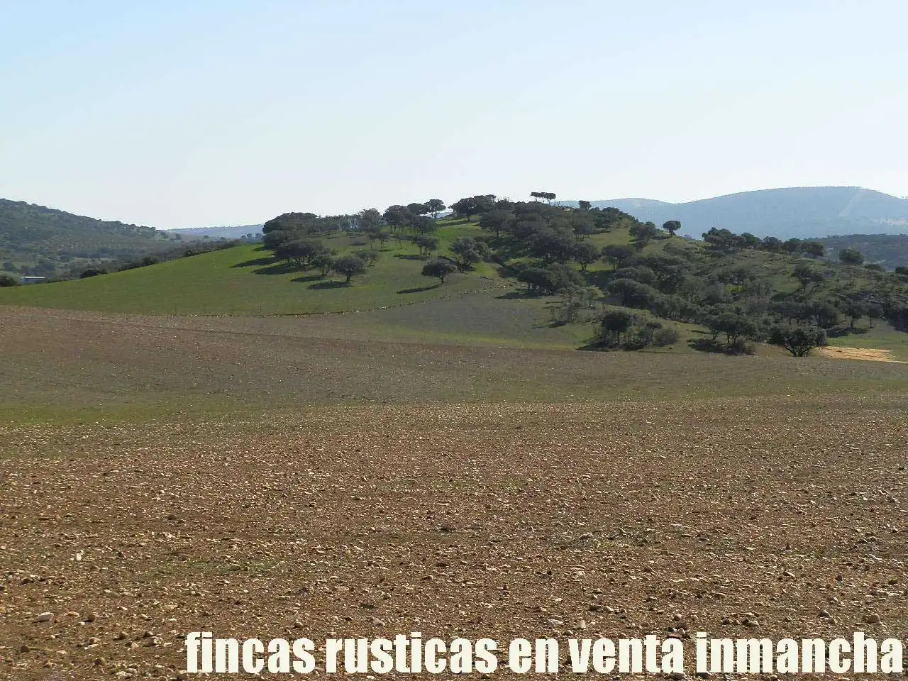 Terreno en venta en Almuradiel
