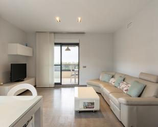Sala d'estar de Apartament de lloguer en Canet d'En Berenguer amb Aire condicionat, Calefacció i Terrassa