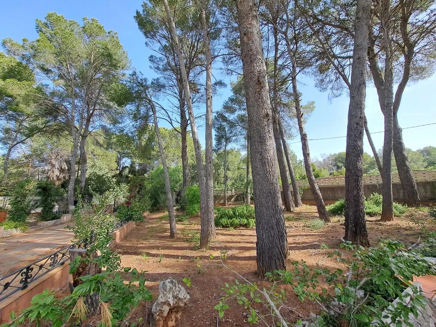 Casa o chalet en venta en Alzira con Jardín privado y Terraza