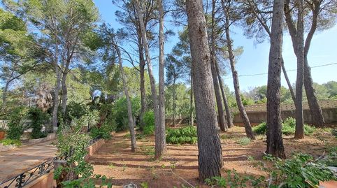 Photo 4 of Houses for sale in Urbanizacion Valletes Bru, Urbanitzacions i Pedanies Sud, Alzira