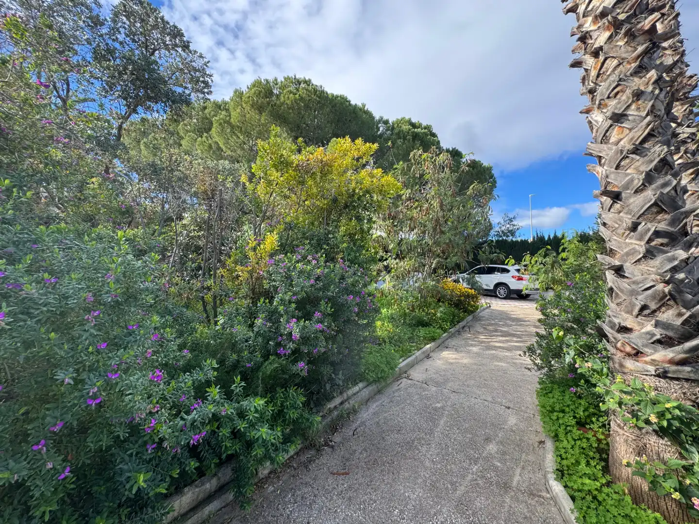 Aparcament de Casa o xalet en venda en Alhaurín de la Torre amb Aire condicionat, Calefacció i Jardí privat