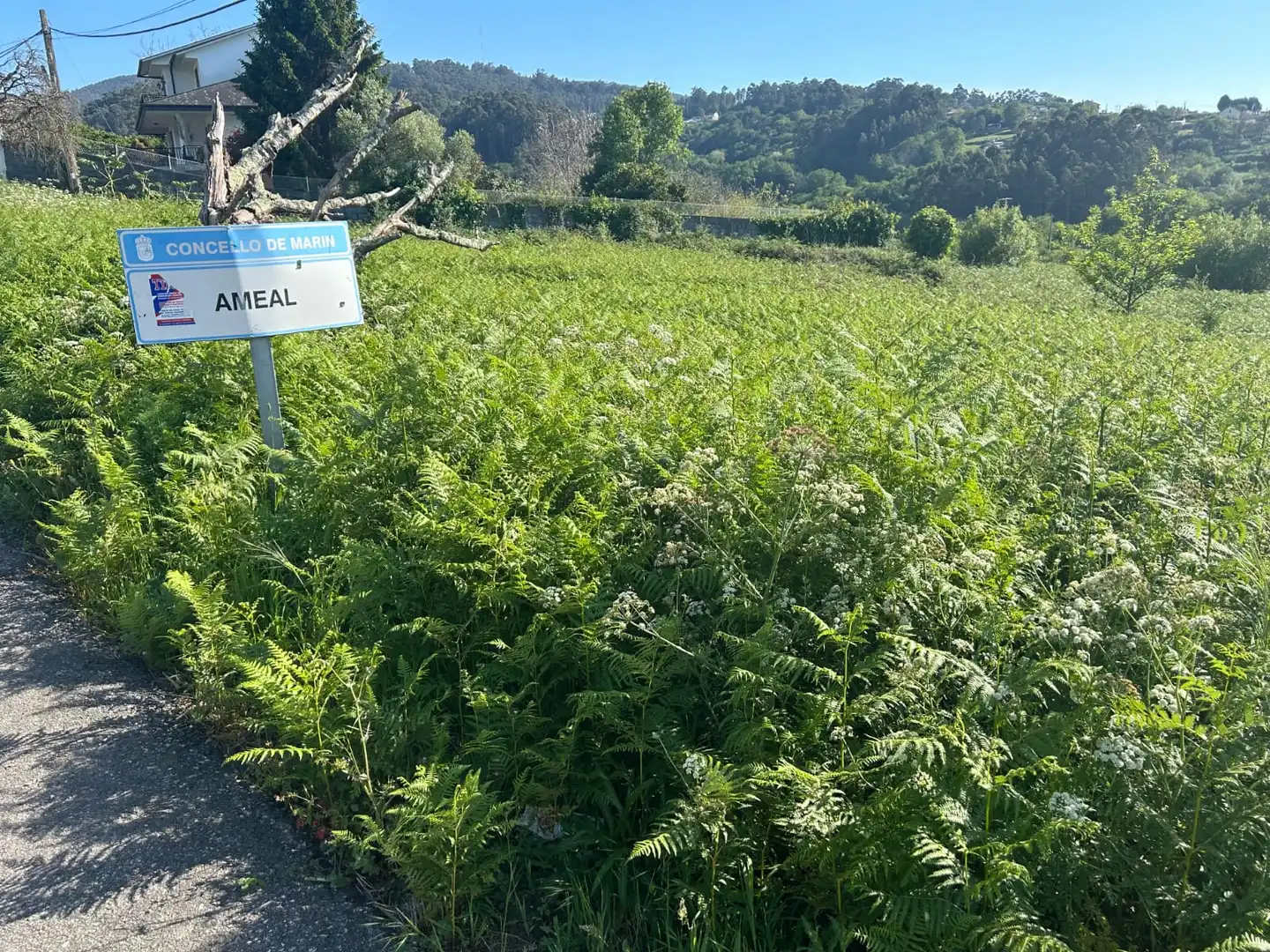 Terreno rustico in vendita a Marín, imagen 5