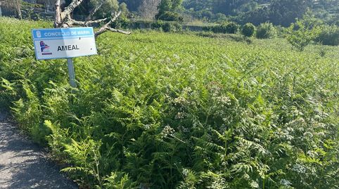 Finca de 20.000 m2, situada en Ameal, Marín, buena cominicac, immagine 5