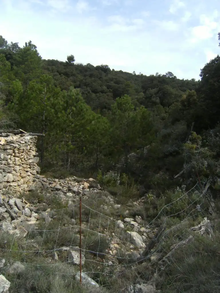 Terreni e lotti in vendita a Beceite, imagen 2