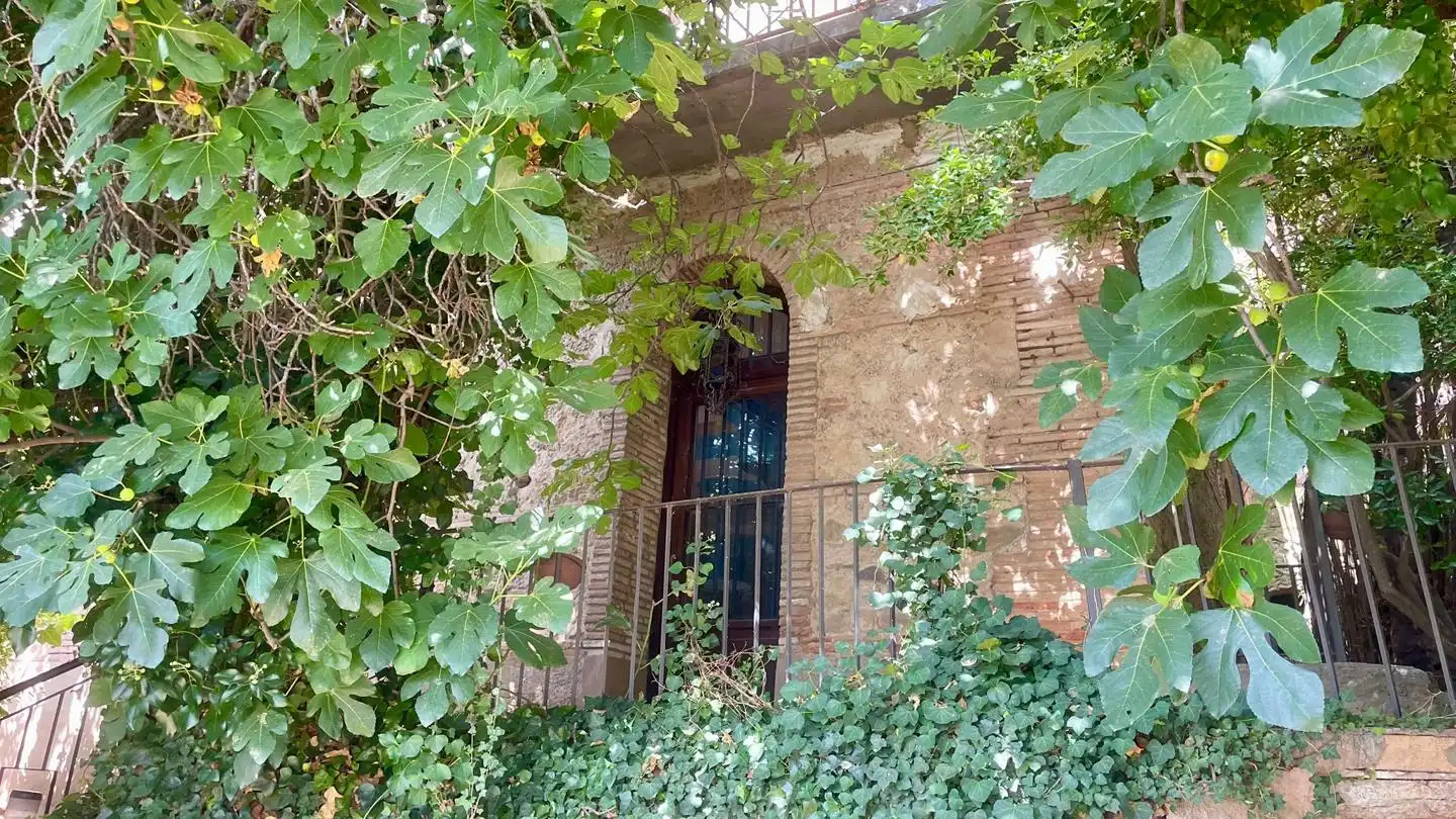 Haus mit Garten zum Verkauf in La Parra, imagen 10