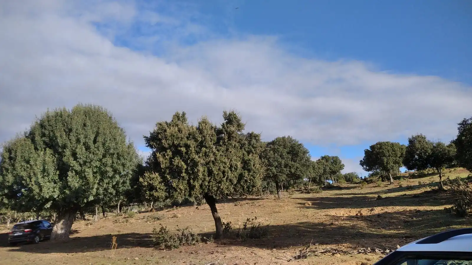 Rural land for sale in Topas, imagen 18