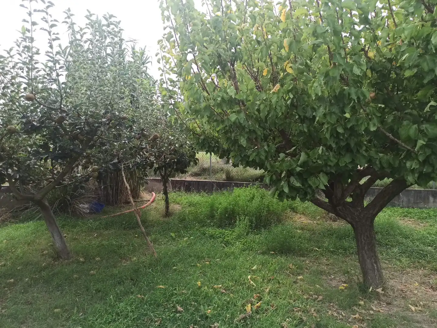 Terreno en venta en Viana