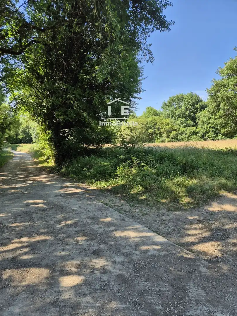 Land for sale in Améscoa Baja