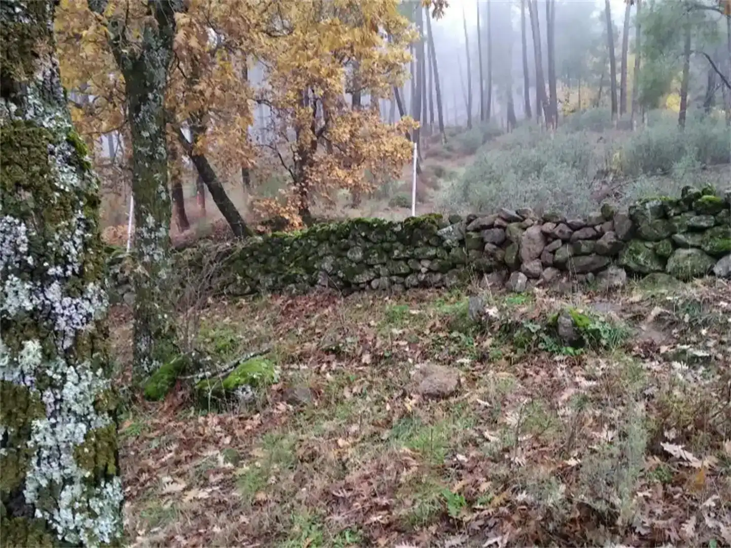 Pis en venda en Piedralaves amb Jardí privat