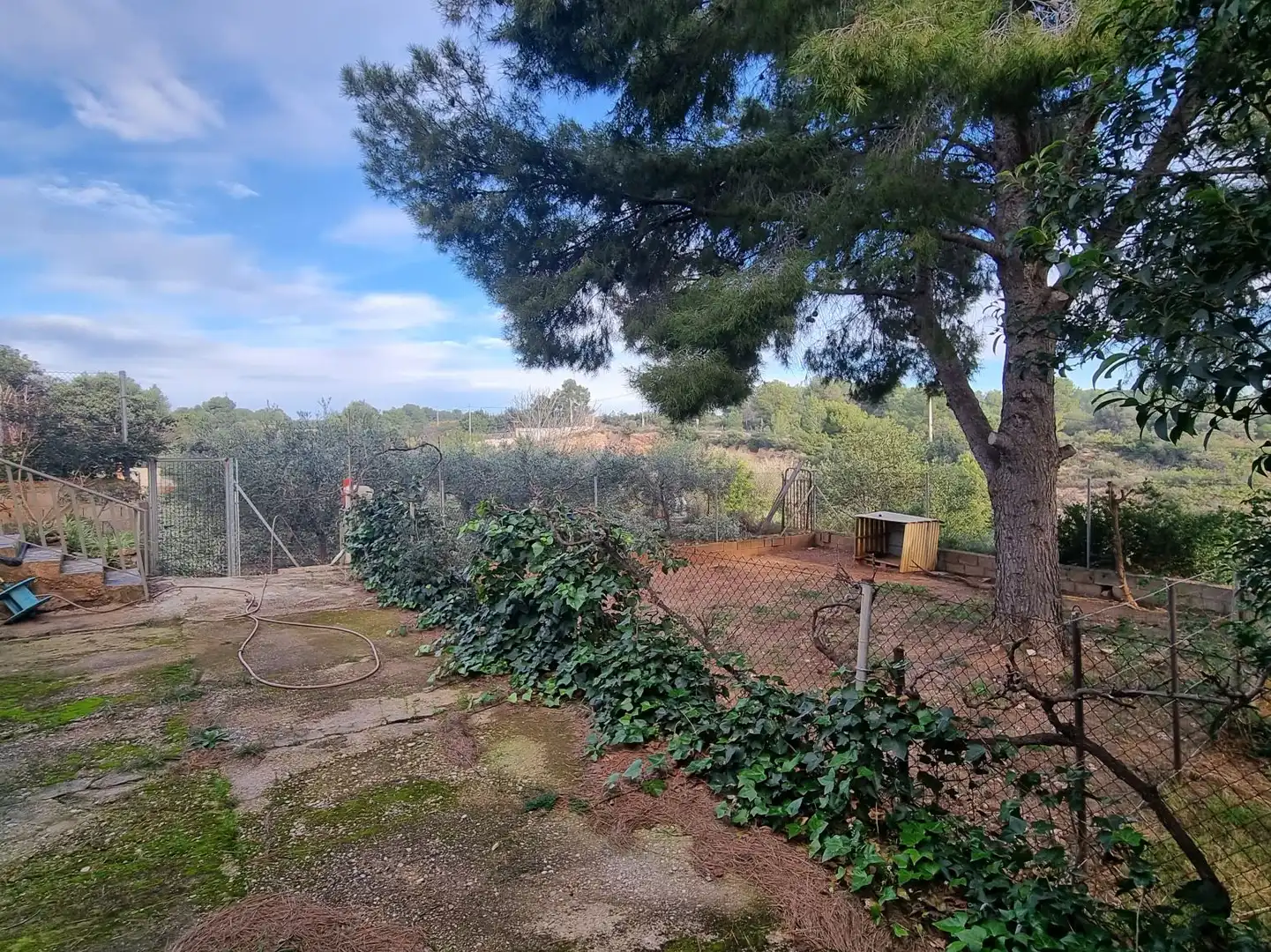Baixos en venda a PD SICHAR BAJO, imagen 8