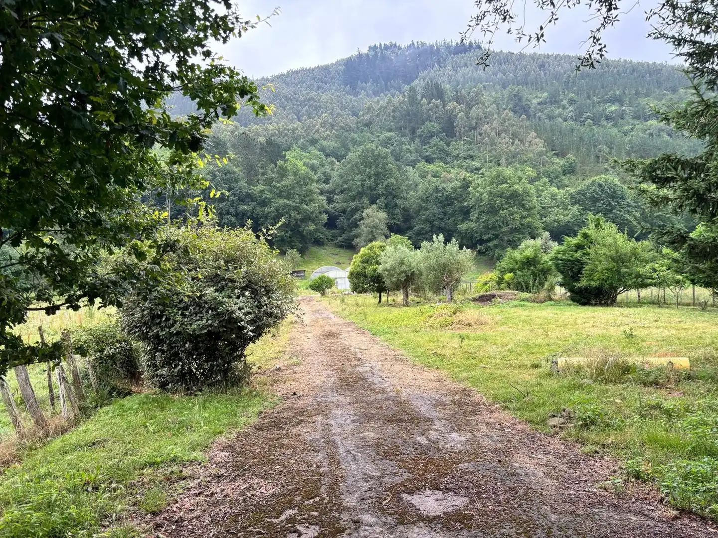 Terreno rustico in vendita a Okondo, imagen 6