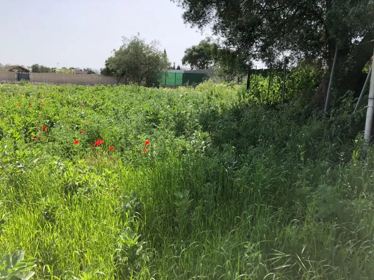 Terreni e lotti in vendita a Barbate ciudad, imagen 11