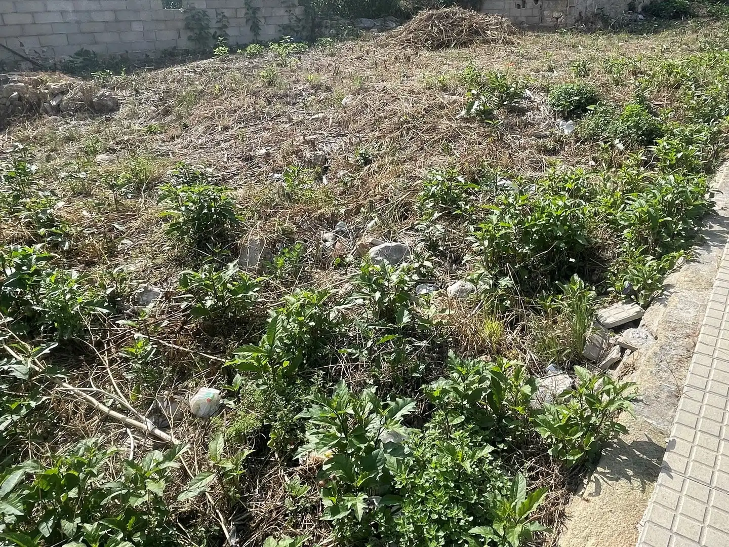 Residencial en venta en Lloseta