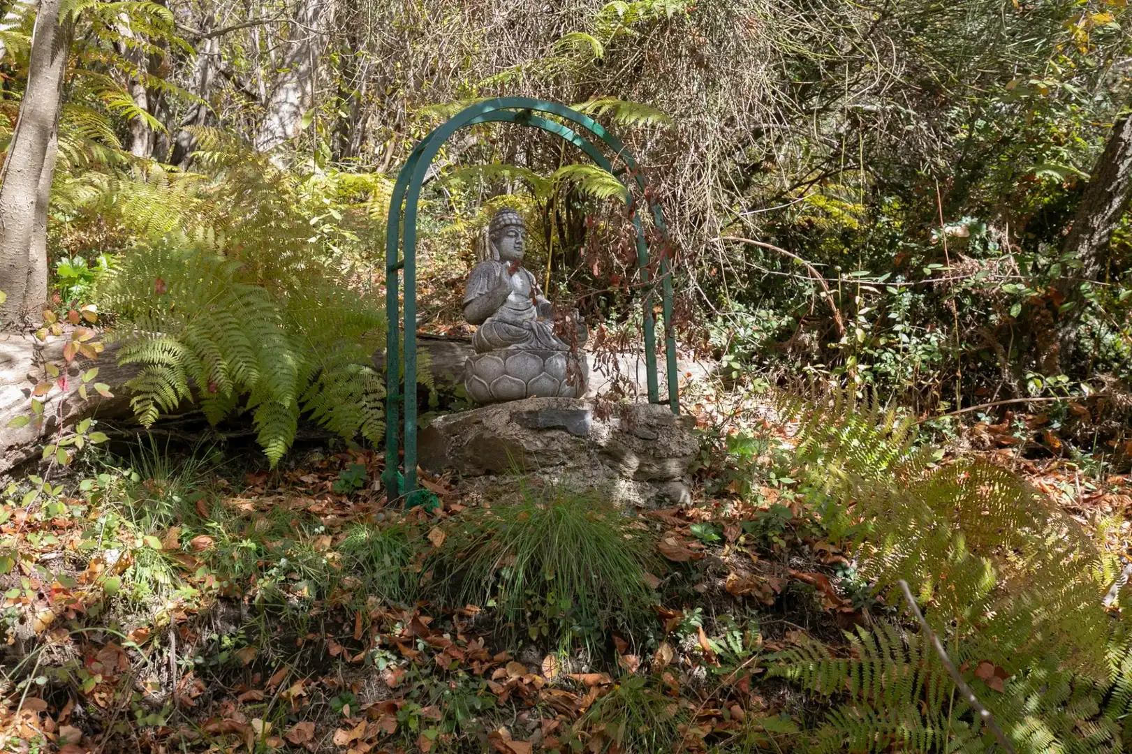 Jardí de Finca rústica en venda en La Taha