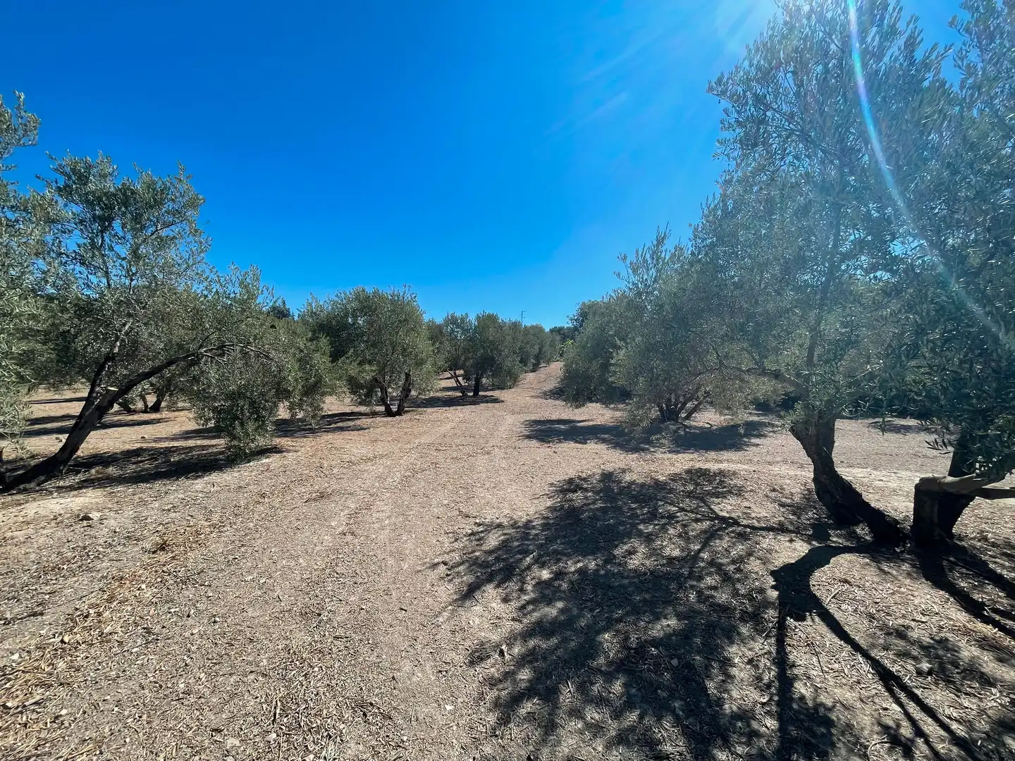 Terrenos y solares en venta en Úbeda, imagen 5