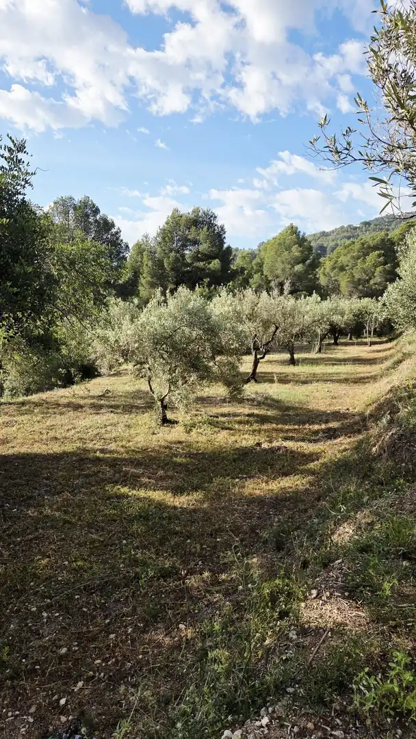 Grundstücke und Bauplätze zum Verkauf in El Castell de Guadalest, imagen 26