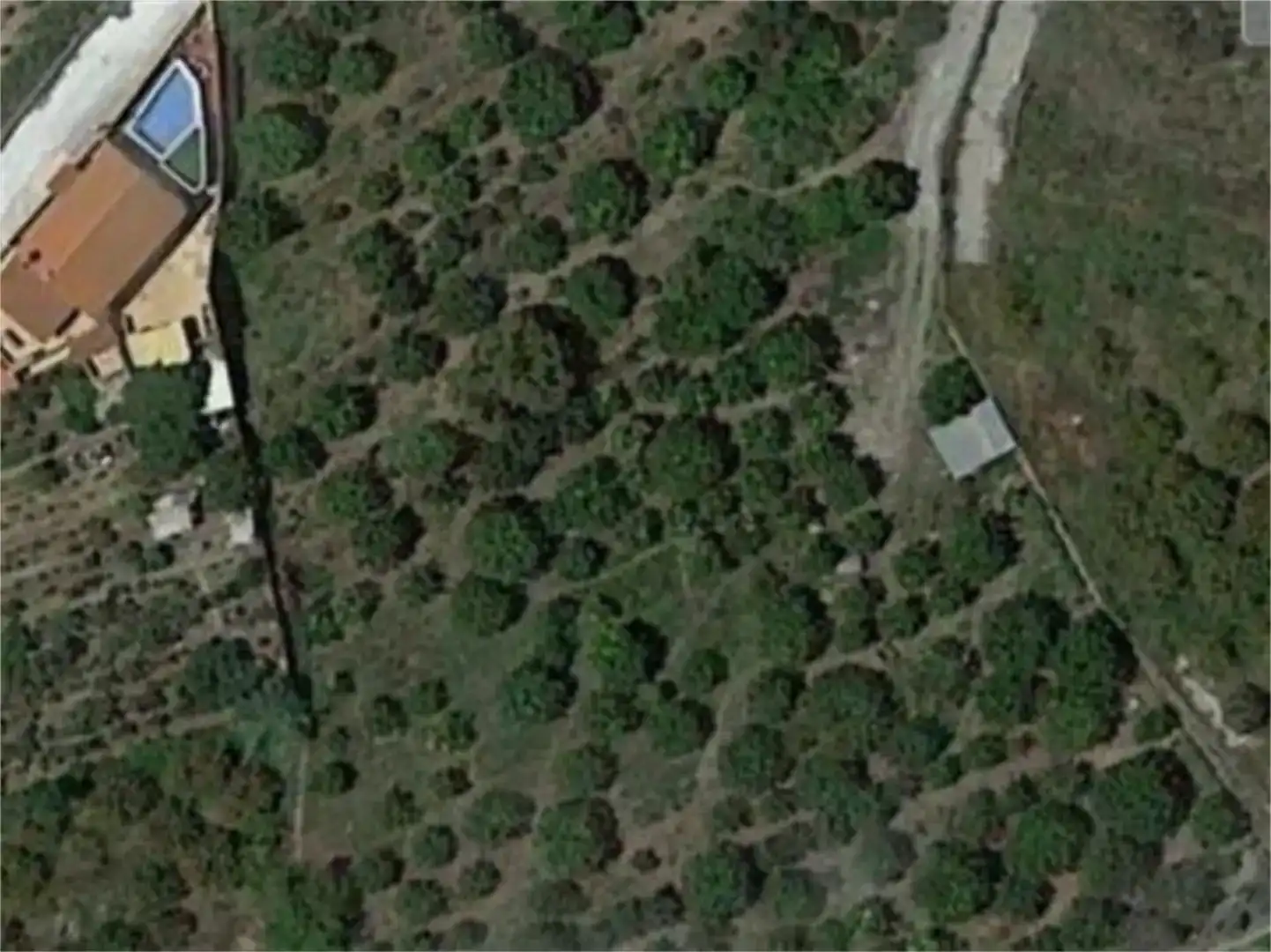 Finca rústica en venda en Salobreña