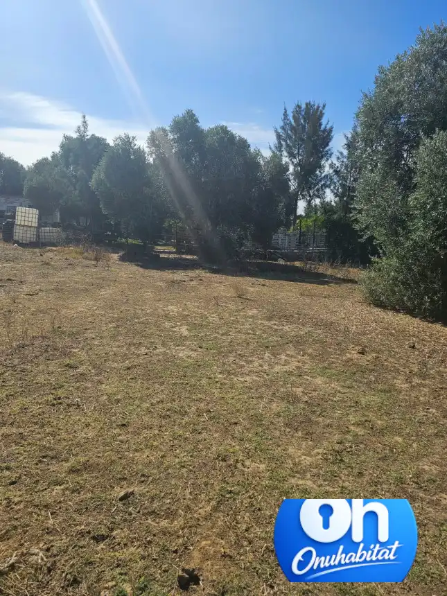 Terrenos y solares en venta en Gibraleón, imagen 8