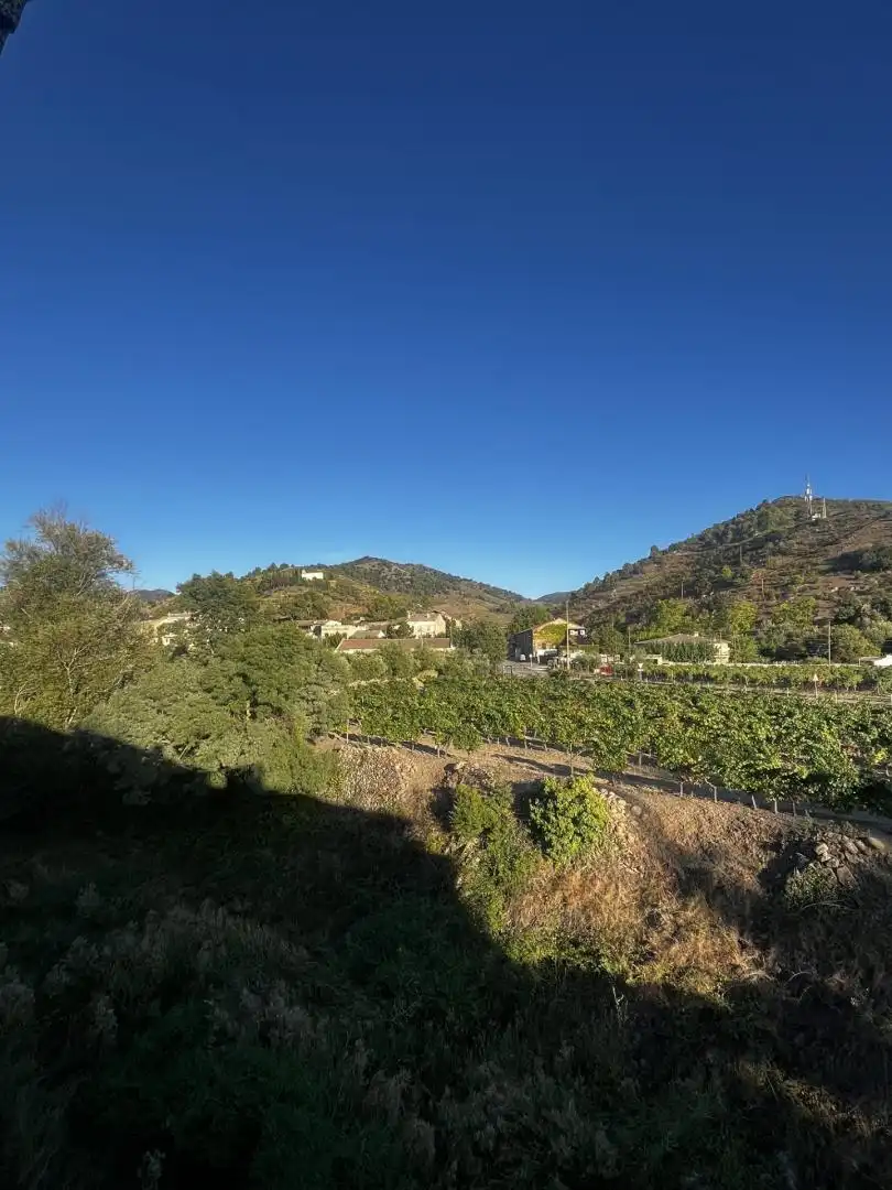 Reihenhaus zum Verkauf in Porrera, imagen 25