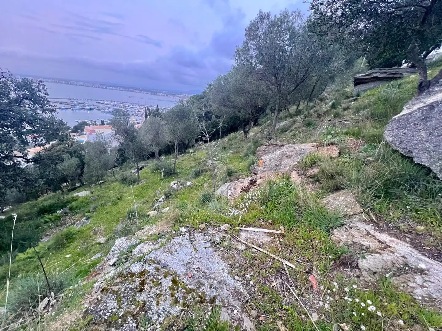 Terrenys i solars en venda a Pasaje de Marià Aguiló 19, imagen 22