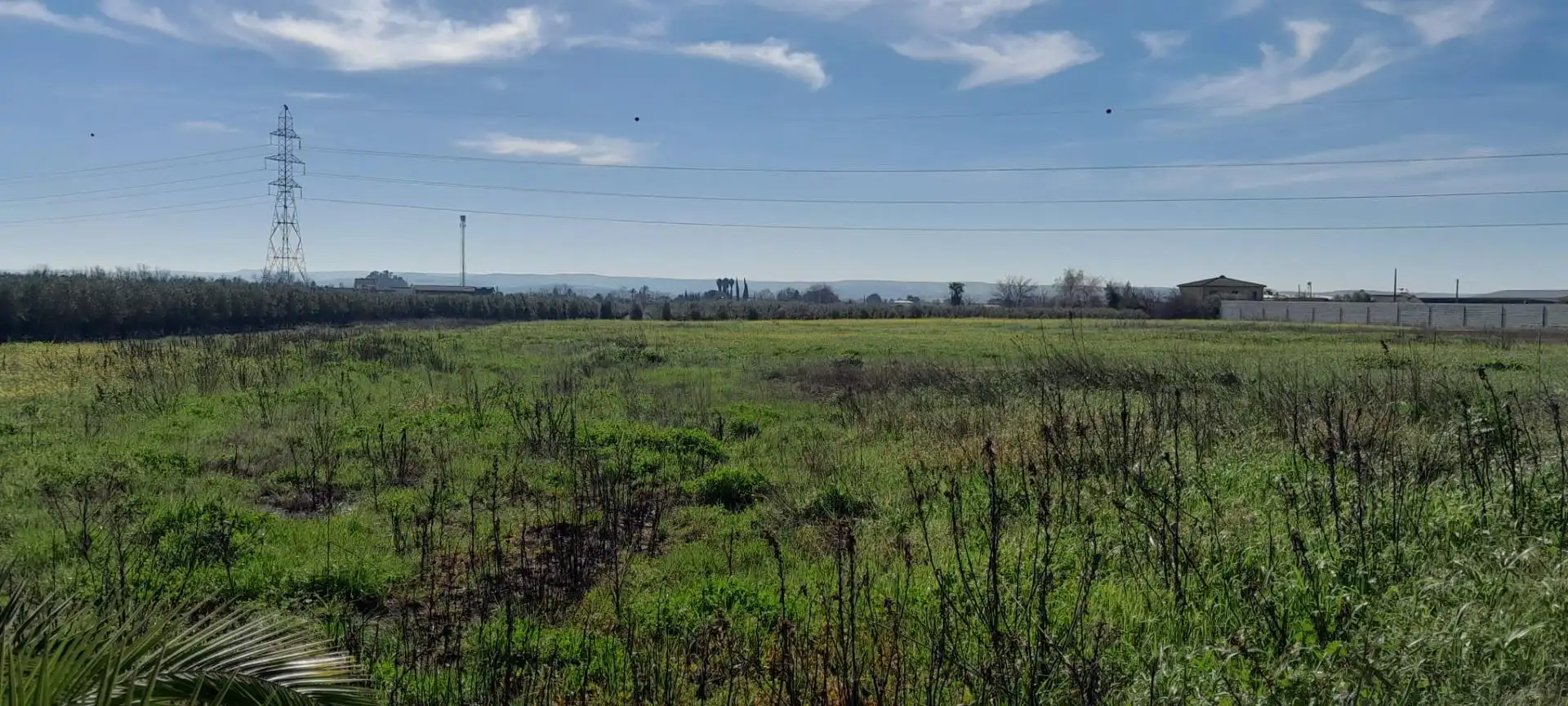Terreny industrial en venda en Córdoba