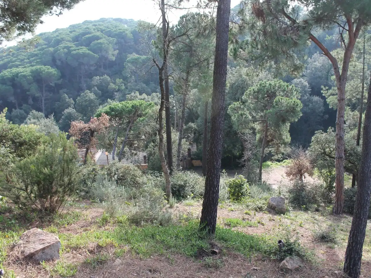 House with garden for sale in Carrer de les Margarides 2, imagen 7