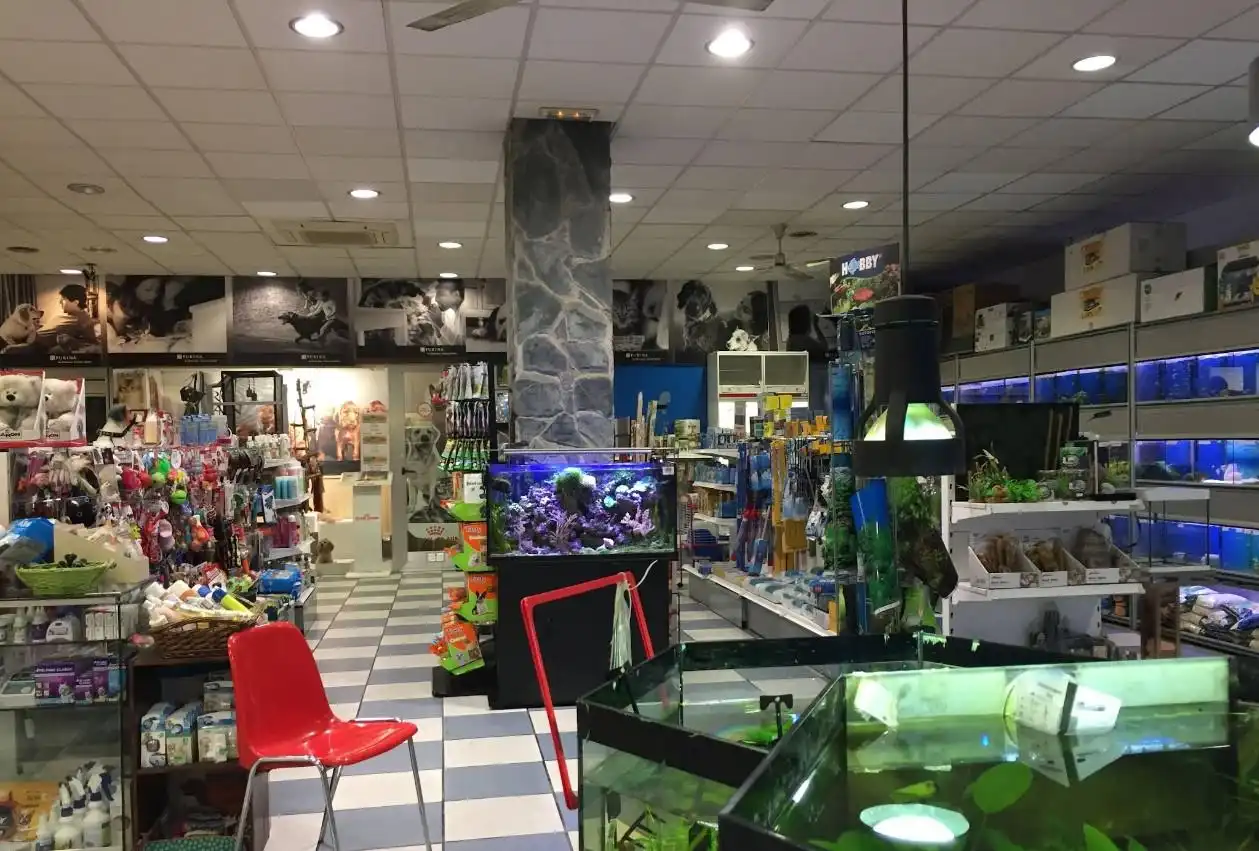 Local comercial en traspàs a Príncep de Viana 100, imagen 7