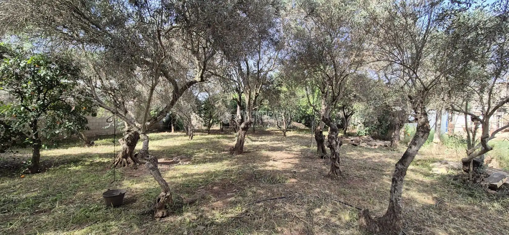 Casa rústica en venda a Oromana, imagen 14