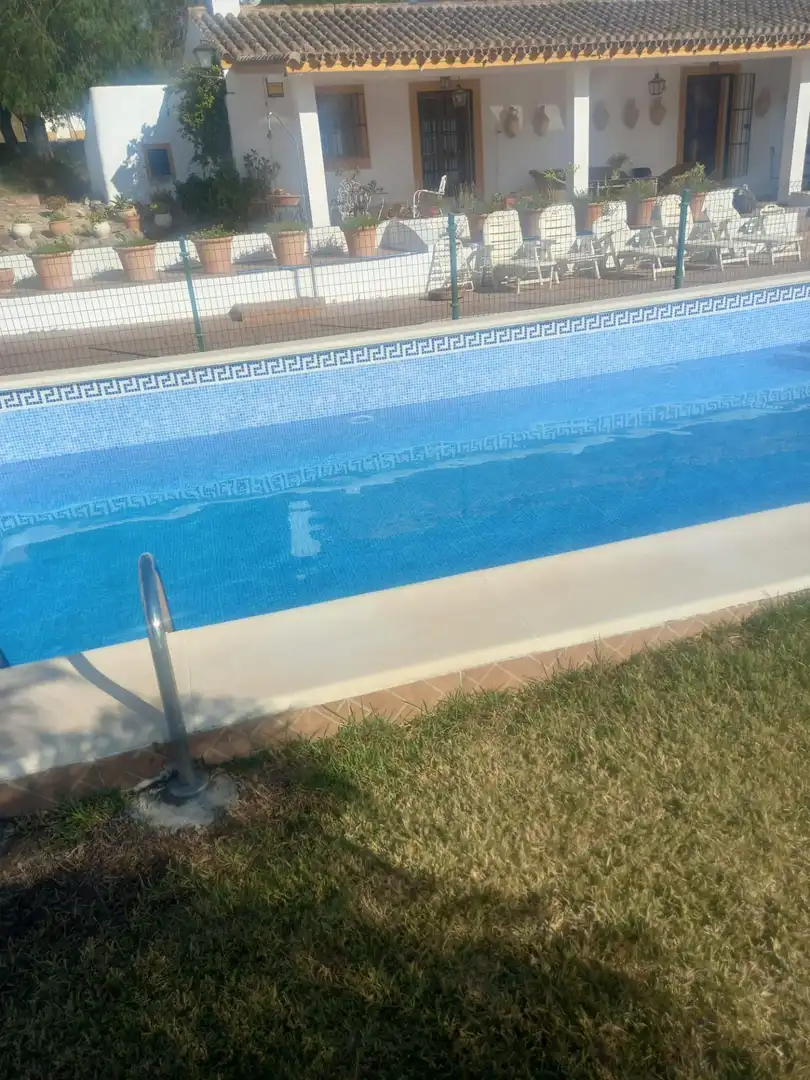 Piscina de Finca rústica en venda en Arcos de la Frontera amb Jardí privat i Piscina comunitària