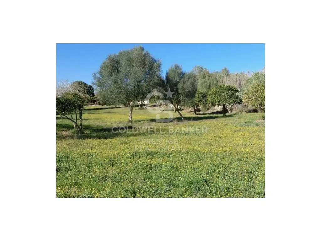 Casa rustica in vendita a Artà Poble, imagen 20