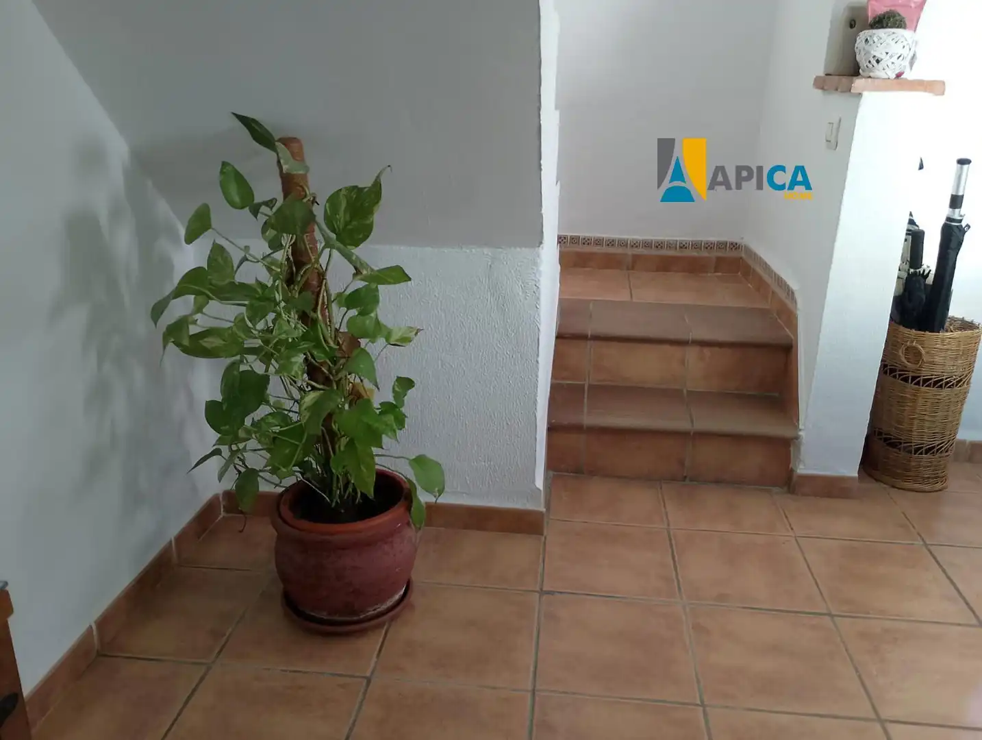 Casa adosada en venta en Barbate con Terraza y Amueblado
